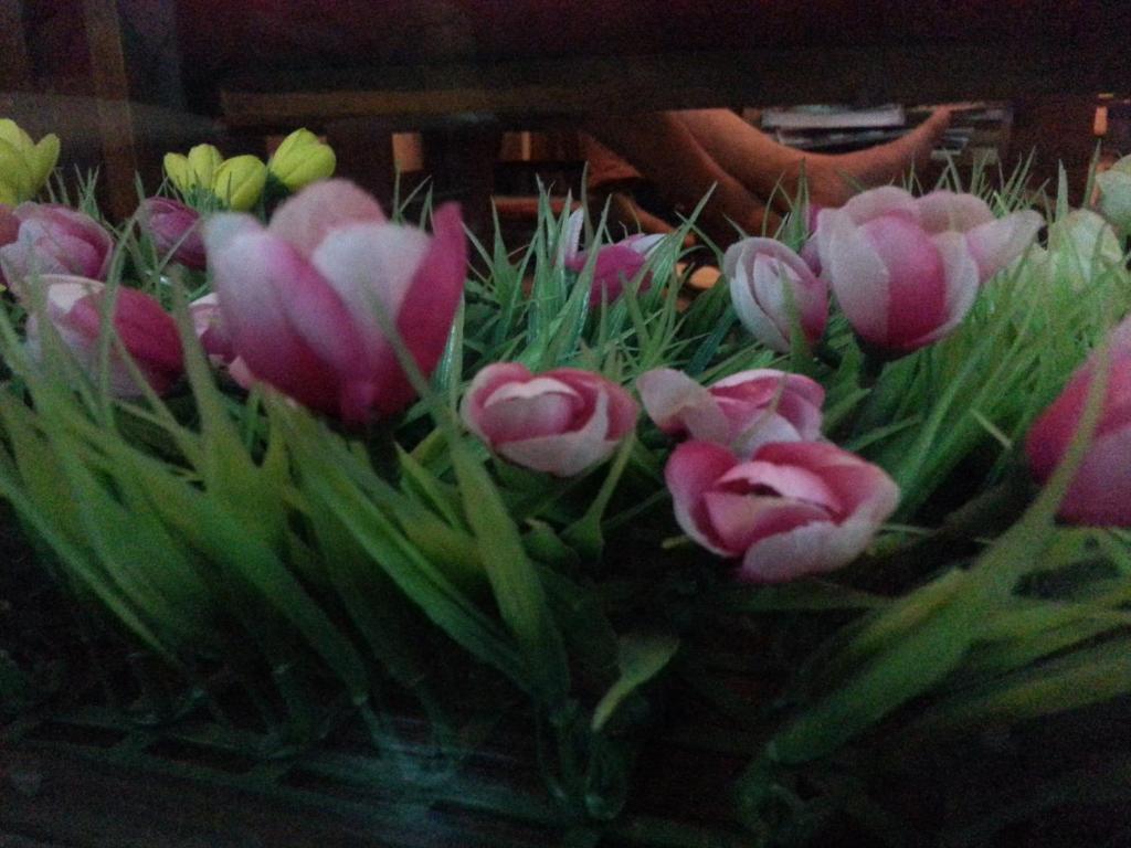 הו צ'י מין סיטי Pink Tulip Hotel מראה חיצוני תמונה