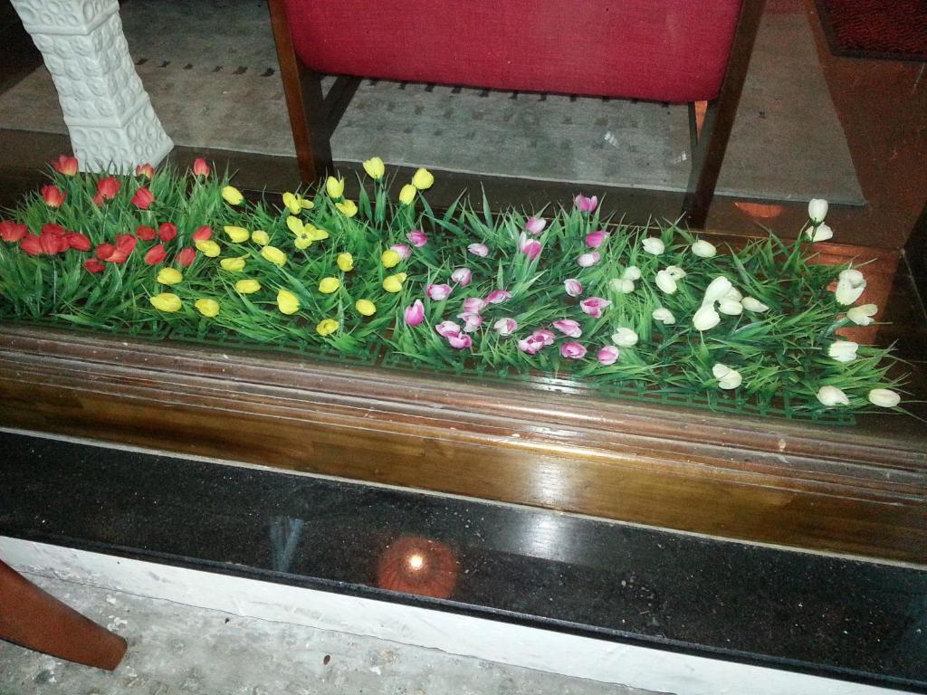 הו צ'י מין סיטי Pink Tulip Hotel מראה חיצוני תמונה
